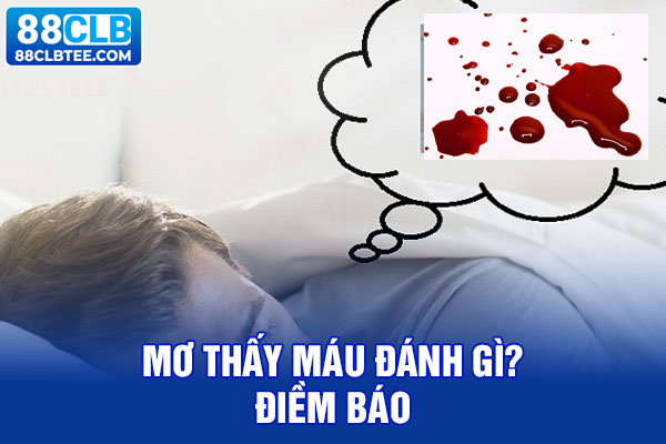 Mơ thấy máu đánh gì? Điềm báo