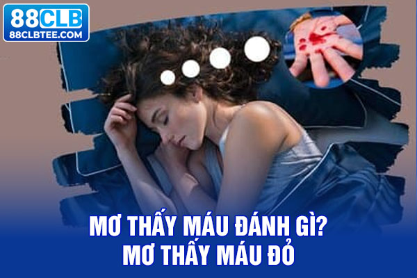 Mơ thấy máu đánh gì? Mơ thấy máu đỏ