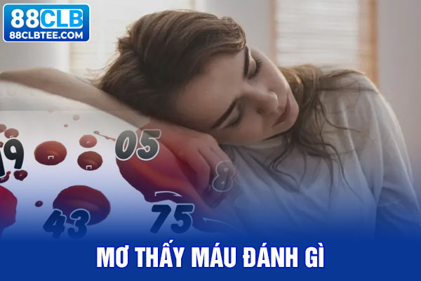 mơ thấy máu đánh gì