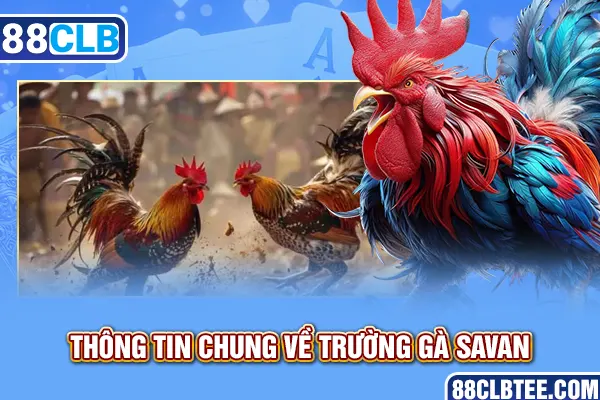 Thông tin chung về trường gà Savan